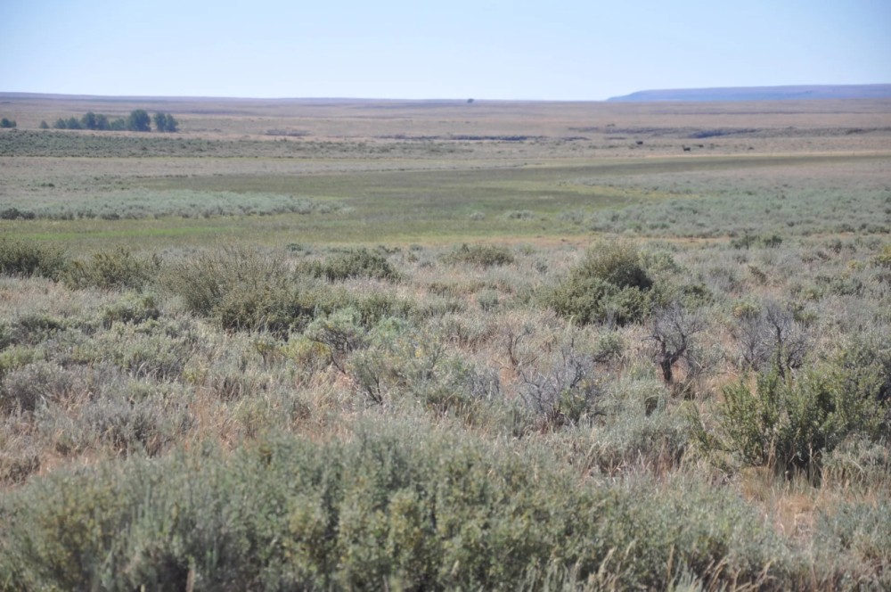 Pole Creek Ranch featured image