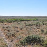 Pole Creek Ranch images 2