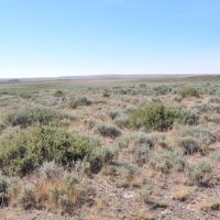 Pole Creek Ranch images 4