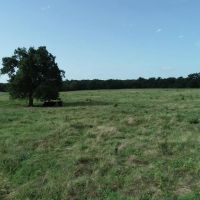 Pastureland homesite locations with Seller finance options