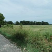 Pastureland homesite locations with Seller finance options images 5