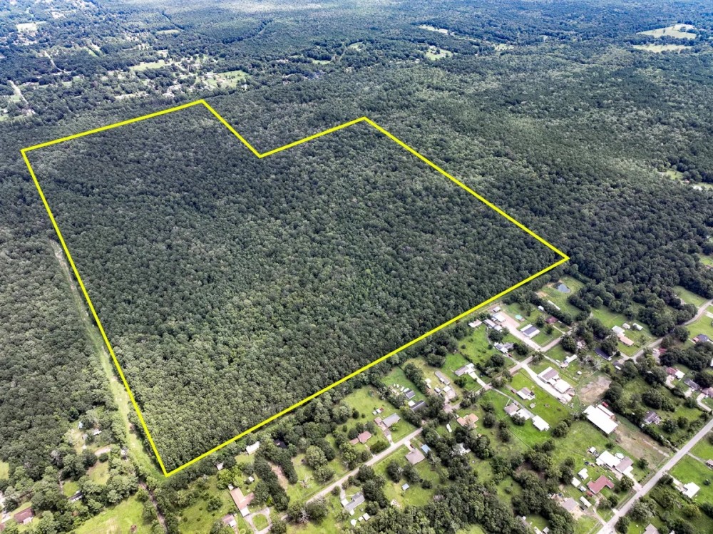 310 Acres Ellis Lane 01167 featured image