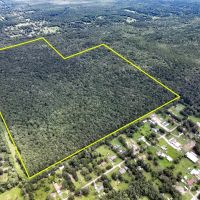 310 Acres Ellis Lane 01167