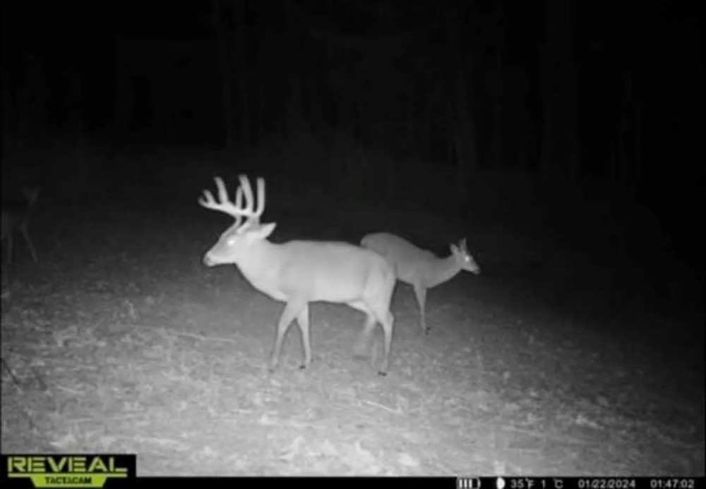 Hunting Land with Lodge in Yazoo County Mississippi featured image