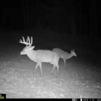 Hunting Land with Lodge in Yazoo County Mississippi images 1