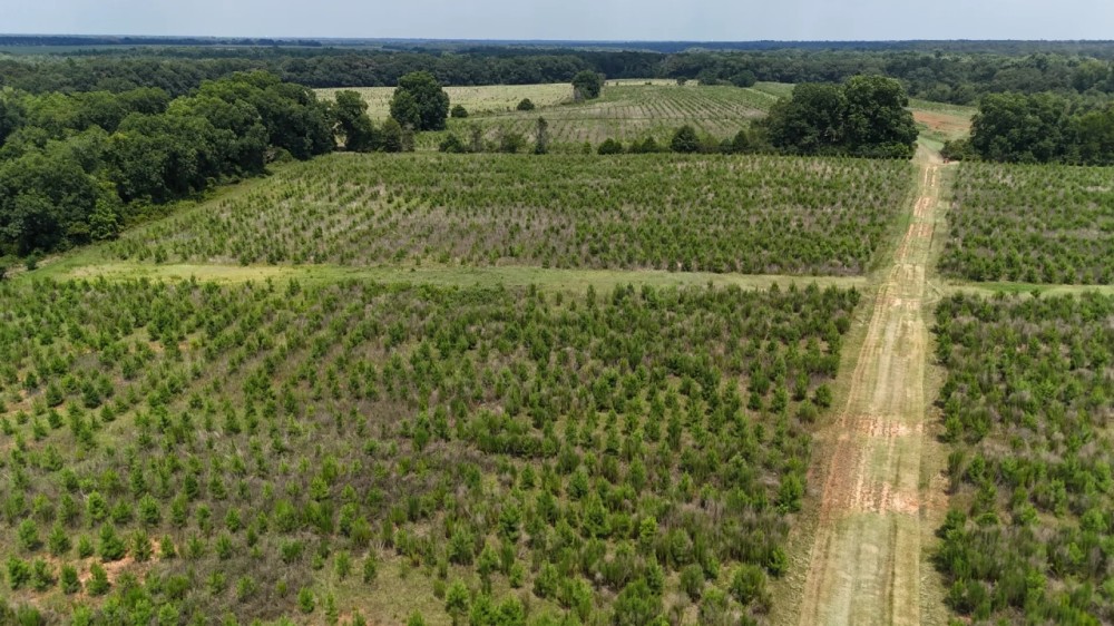 603 Acres with a Lodge in Sumter County Georgia featured image