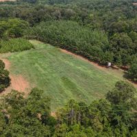 603 Acres with a Lodge in Sumter County Georgia images 2