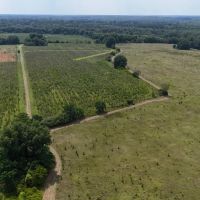 603 Acres with a Lodge in Sumter County Georgia images 3