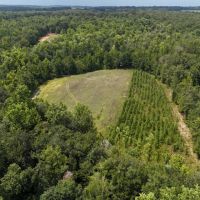 603 Acres with a Lodge in Sumter County Georgia images 4
