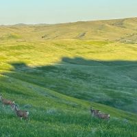 Bozeman Trail Tracts images 4