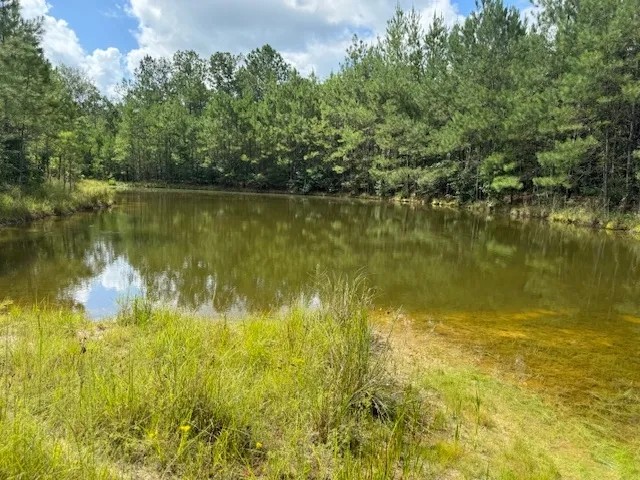 273 Edger Holmes Road featured image