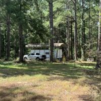 273 Edger Holmes Road images 3