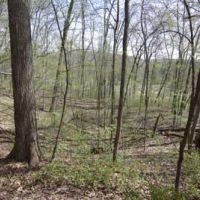 Goose Lake WMA - 2,296 acres for Turkey, Deer and Small games in Dane, WI