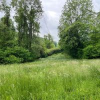 000 White Cloud Road images 5