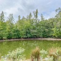 87 Acres Hwy 79 images 4