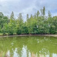 87 Acres Hwy 79 images 5