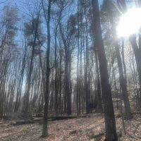 25 acres Woodlands and Building Lot with a Drilled Water Well in Springwater NY Harpers Ferry Road