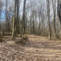 25 acres Woodlands and Building Lot with a Drilled Water Well in Springwater NY Harpers Ferry Road images 2
