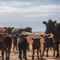 Ten Mile Ranch