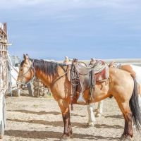 Ten Mile Ranch images 4