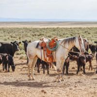 Ten Mile Ranch images 5