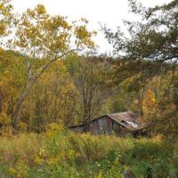 Adair WMA - 338 acres for hunting Turkey in Adair, IA