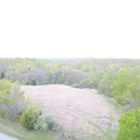 Nice smaller tract near Shawnee Forest images 2