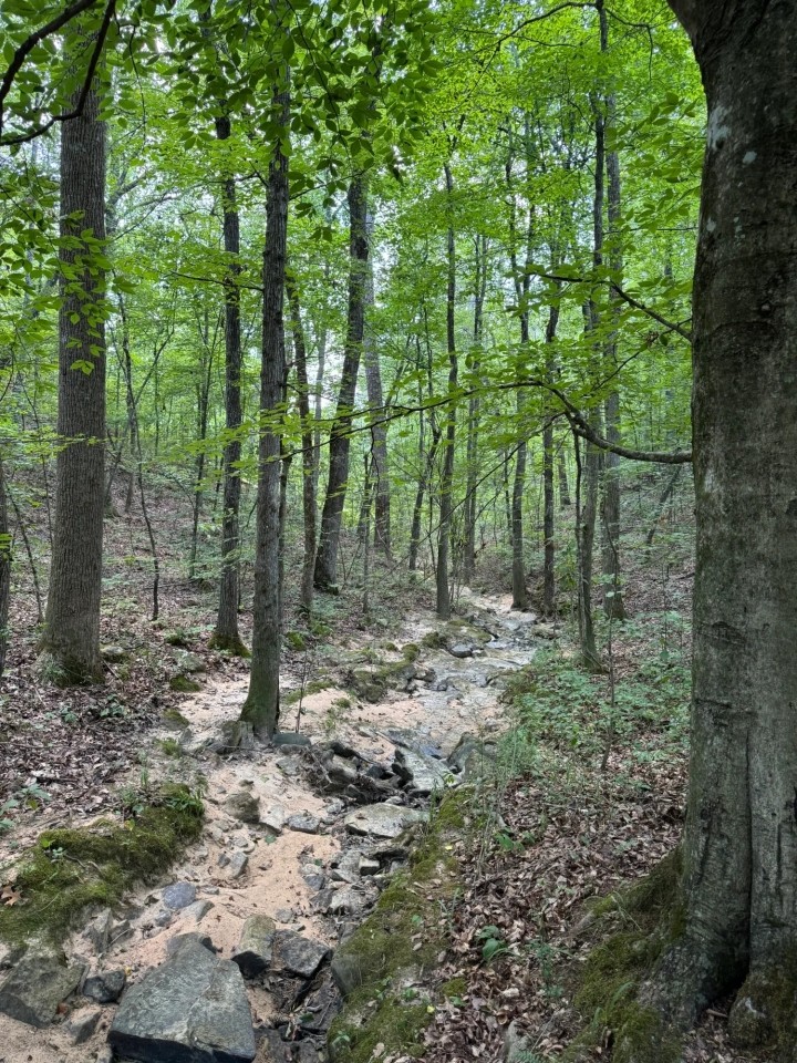 60 - Acres HWY 227 featured image