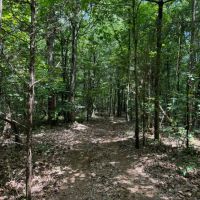 60 - Acres HWY 227 images 5