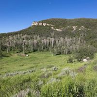 Black Cat at 480 Ranch images 4