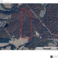 Whitetail Woods images 2