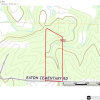Whitetail Woods images 3