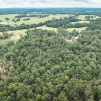 Whitetail Woods images 4