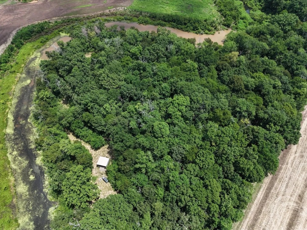 TBD County Road 3405 Avery TX 75554 featured image