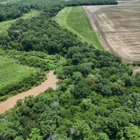 TBD County Road 3405 Avery TX 75554 images 5