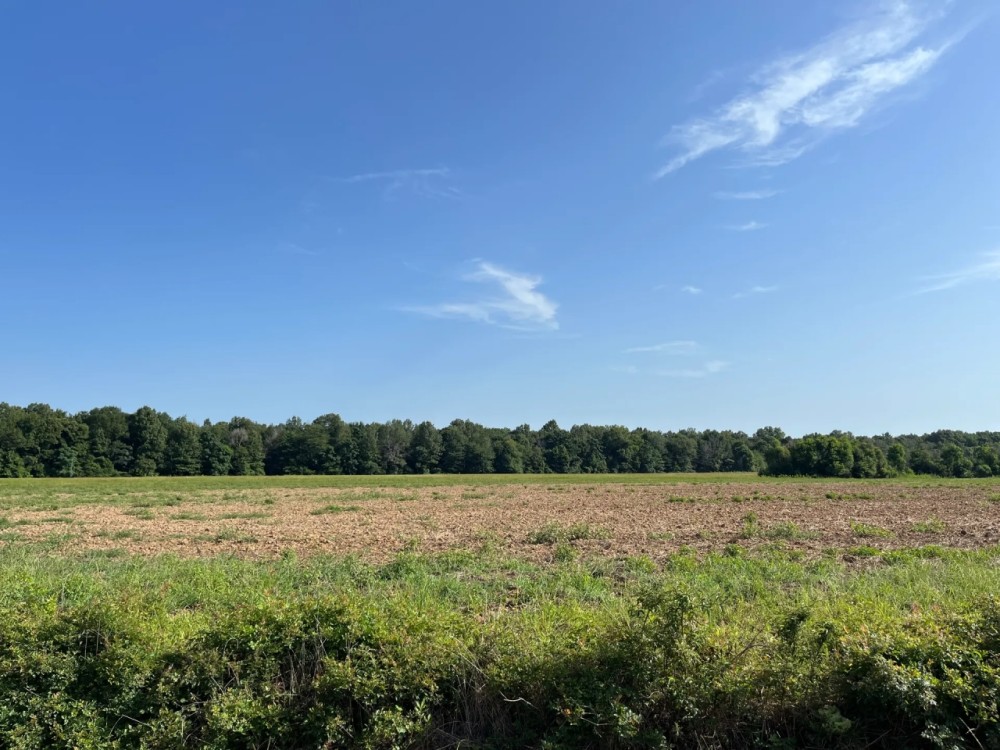 58.51 Acres in Franklin Parish LA featured image