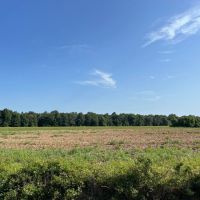 58.51 Acres in Franklin Parish LA