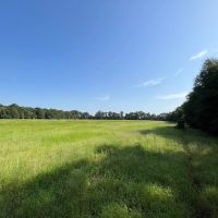 58.51 Acres in Franklin Parish LA images 2