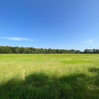 58.51 Acres in Franklin Parish LA images 3