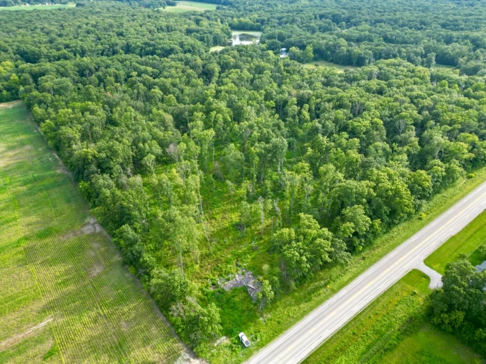 30 - acres located in between Salem and Centralia featured image