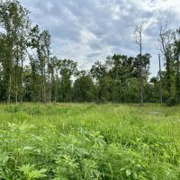 30 - acres located in between Salem and Centralia images 4