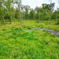 30 - acres located in between Salem and Centralia images 5