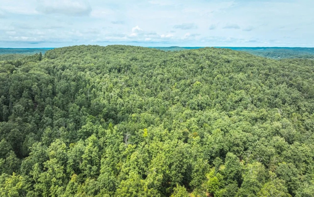 Cozy 65 acres by the Current River featured image