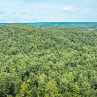 Cozy 65 acres by the Current River images 2