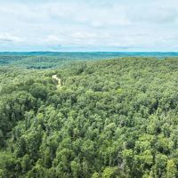 Cozy 65 acres by the Current River images 3