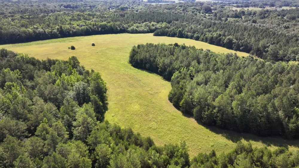 Clay County - 660 acres Big Timber and Recreational Tract featured image
