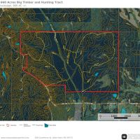 Clay County - 660 acres Big Timber and Recreational Tract images 2