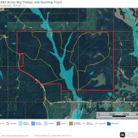 Clay County - 660 acres Big Timber and Recreational Tract images 4