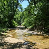 Clay County - 660 acres Big Timber and Recreational Tract images 5