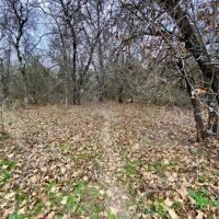 Price Improvement 13.9 - Acres Callahan County images 3